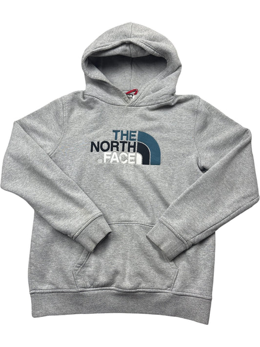 Vintage Grey The North Face Hoodie (XXS)